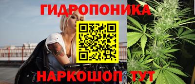 герыч Лесосибирск