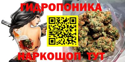 дживик Ливны