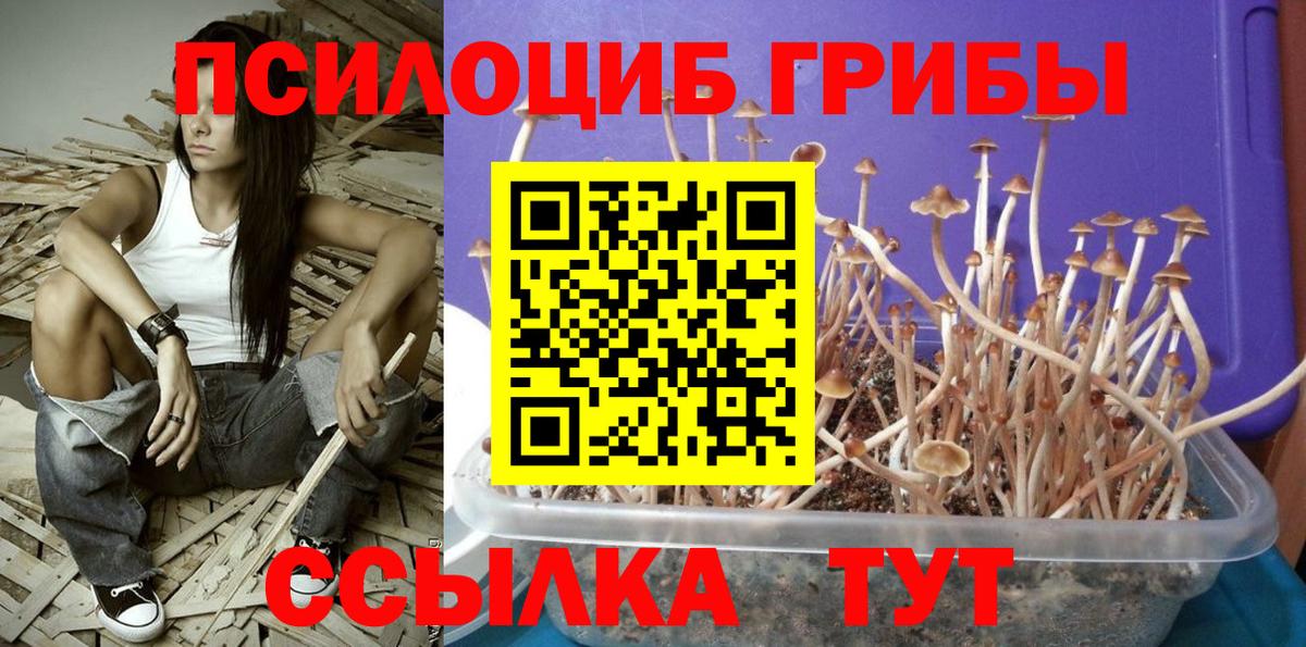 Ирбит  Псилоцибиновые грибы мухоморы  Вход с VPN 